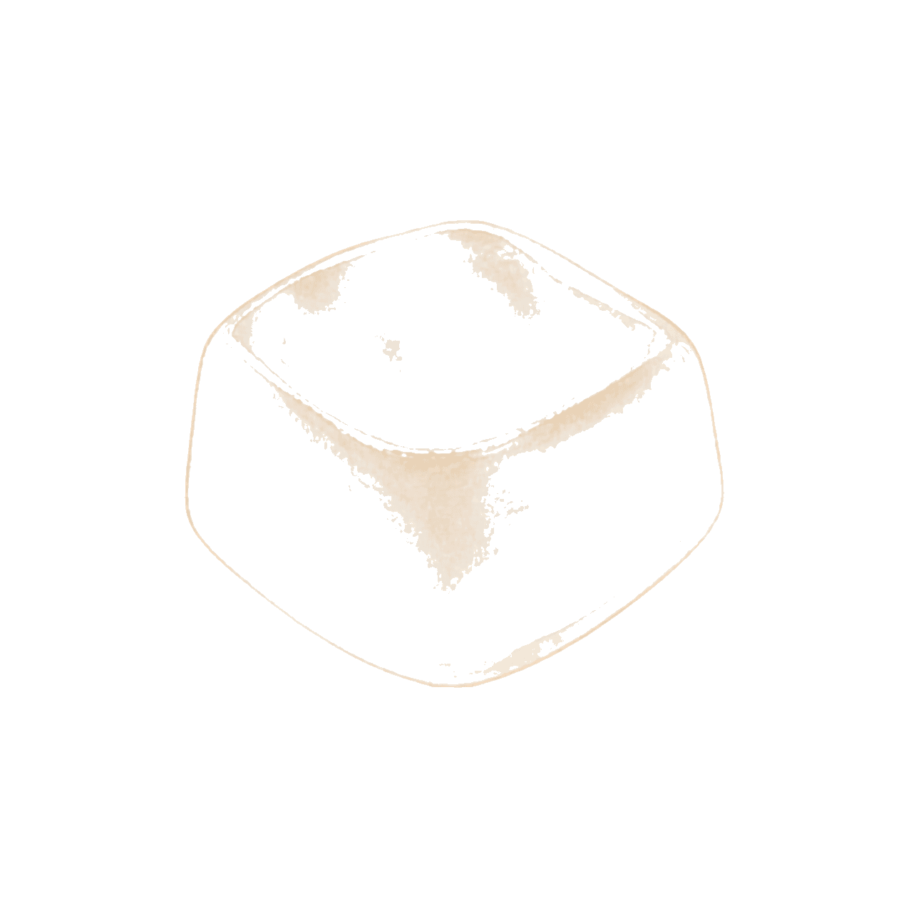 椰果